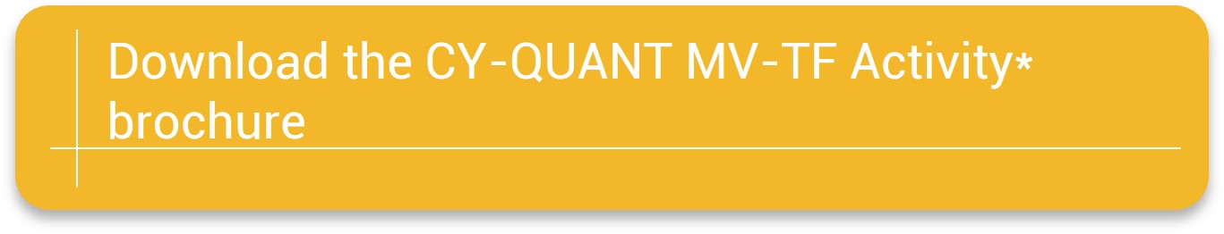 Call to action button to download the Cy-Quant MV-TF Activity brochure