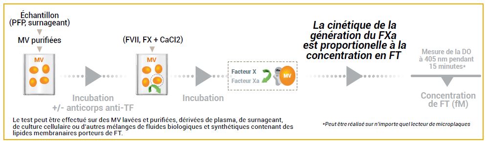 Principe de test de l’activité CY-QUANT MV-TF de Stago. Mesure de l’activité du facteur tissulaire des microvésicules avec détermination cinétique de la génération Xa du facteur MV-TF-dépendant.