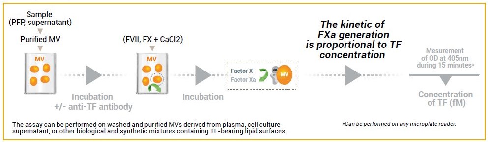 Test principle of CY-QUANT MV-TF Activity by Stago. Measurement of microvesicles tissue factor activity with a kinetic determination of MV-TF dependent factor Xa Generation.