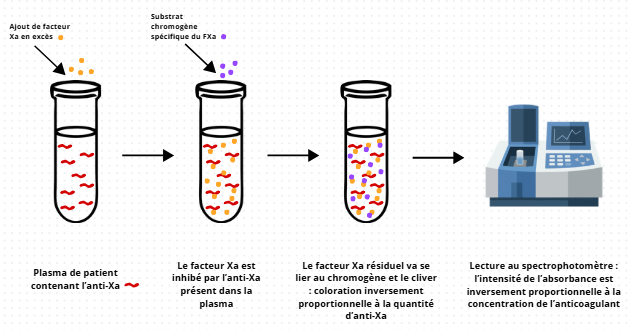 Dosage chromogénique de l’activité Anti-Xa