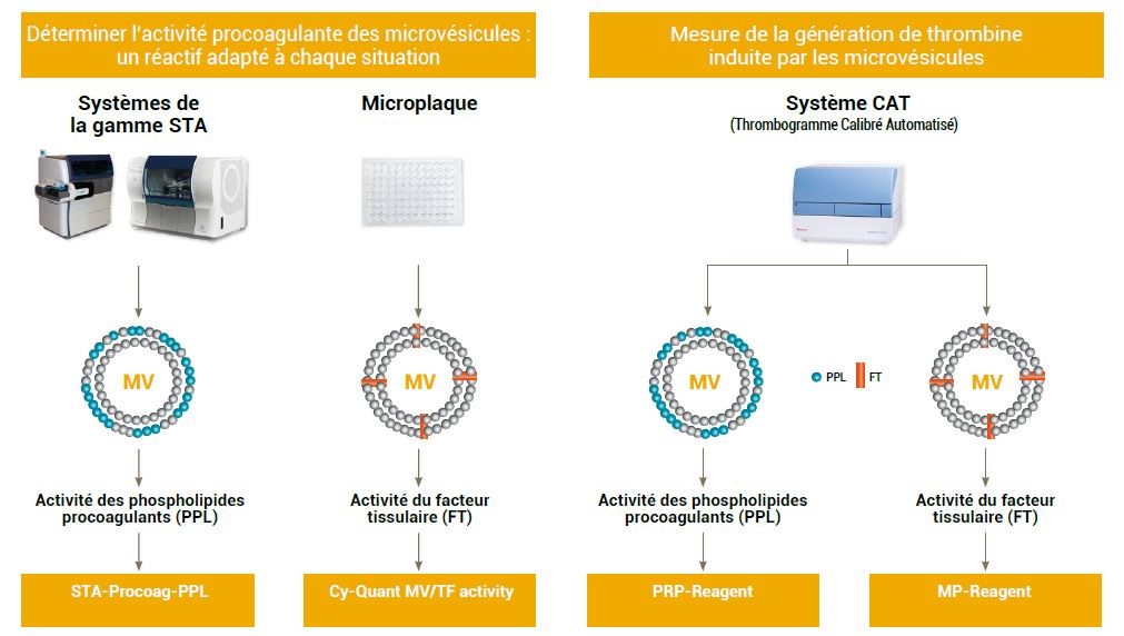 Schéma extrait de la brochure Gamme Micovésicules. Tests fonctionnels pour l’analyse des microvésicules. Détermination de l’activité procoagulante de microvésicules avec différents réactifs.