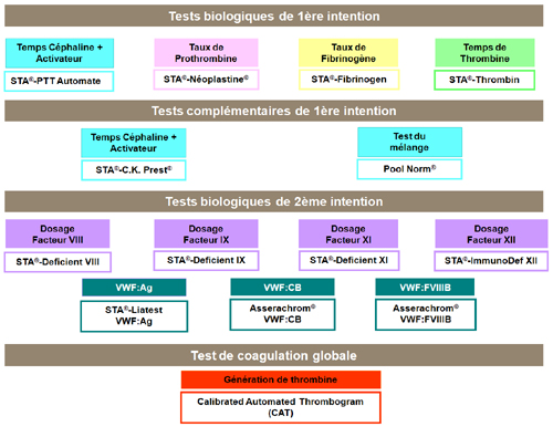 Schéma des différents tests à réaliser pour l'Hémophilie A