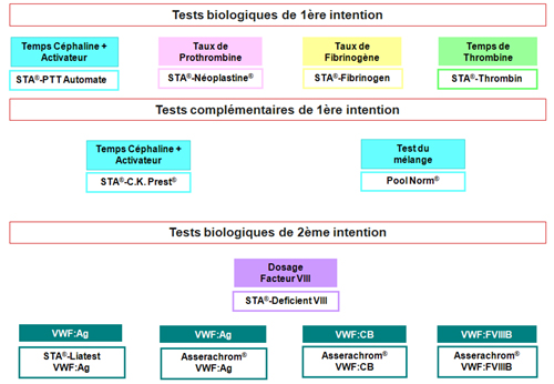 Schéma des différents tests à réaliser pour la Maladie de Willebrand