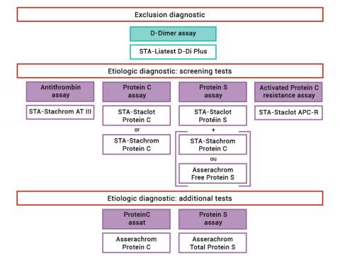 Exclusion diagnostic_EN_Stago