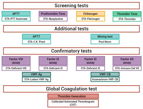 HemophiliaB_TestsPerformed_EN_Stago